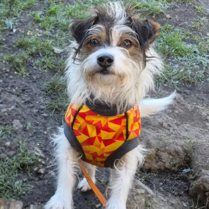 Trailblazer McTog - Microfleece Waterproof Dog Jumper - Step In Poppers - 0 and 5 Slim left