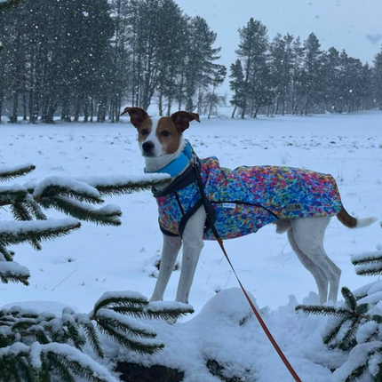 Razzle Dazzle McTog - Microfleece Waterproof Dog Sweater - Step In Poppers