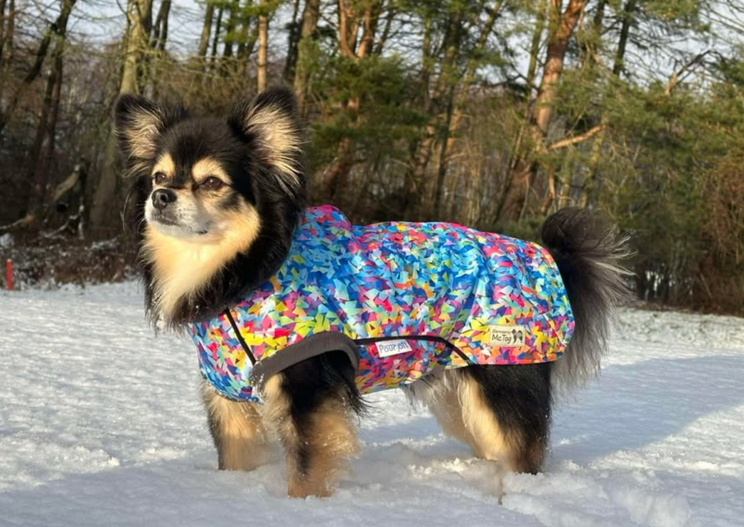 Razzle Dazzle McTog - Microfleece Waterproof Dog Sweater - Step In Poppers