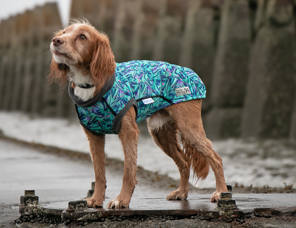 Splash McTog - Microfleece Waterproof Dog Coat - Step In Poppers