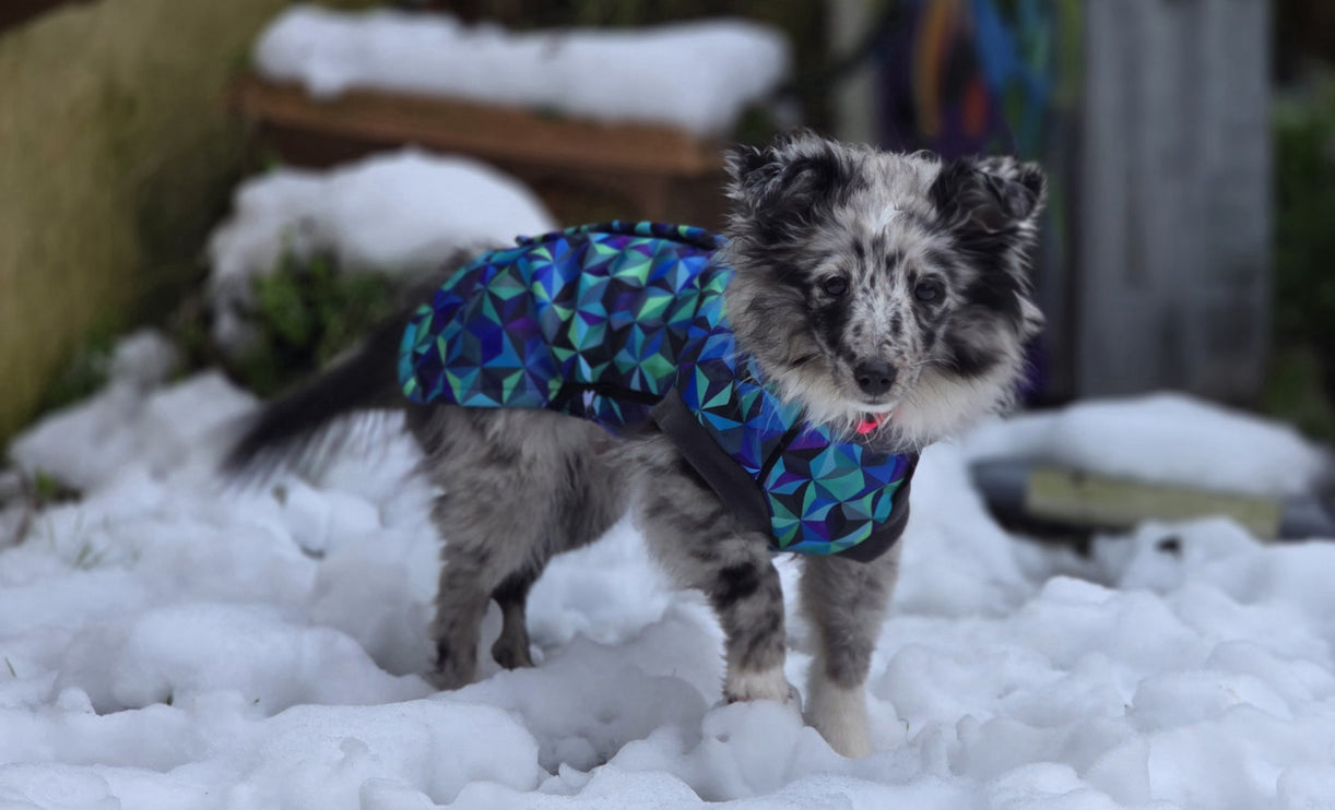 Infinity McTog - Microfleece Waterproof Dog Jumper - Step In Poppers