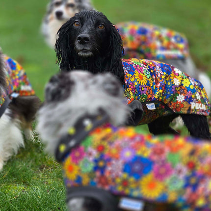 Flower Power McTog - Microfleece Waterproof Dog Jumper - Step In Poppers