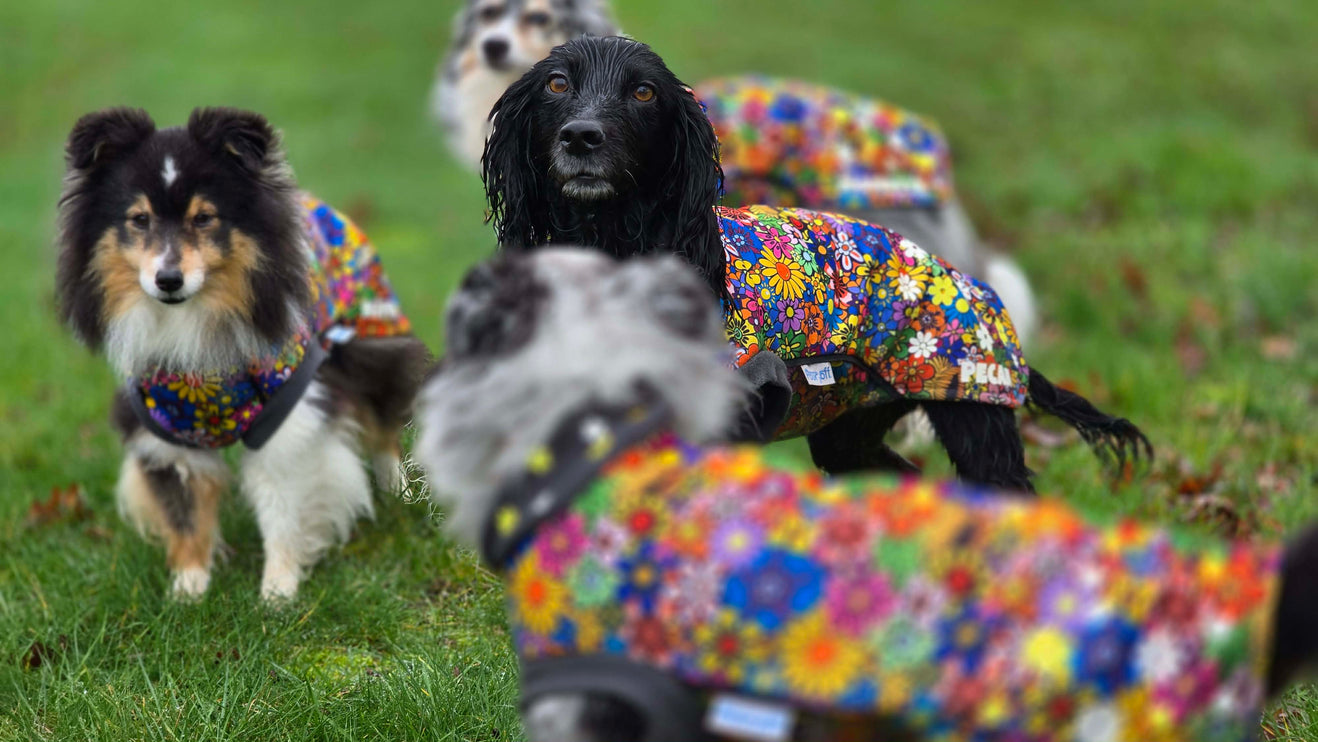 Flower Power McTog - Microfleece Waterproof Dog Jumper - Step In Poppers