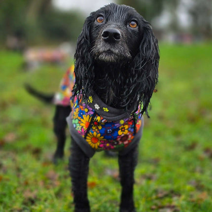 Flower Power McTog - Microfleece Waterproof Dog Jumper - Step In Poppers
