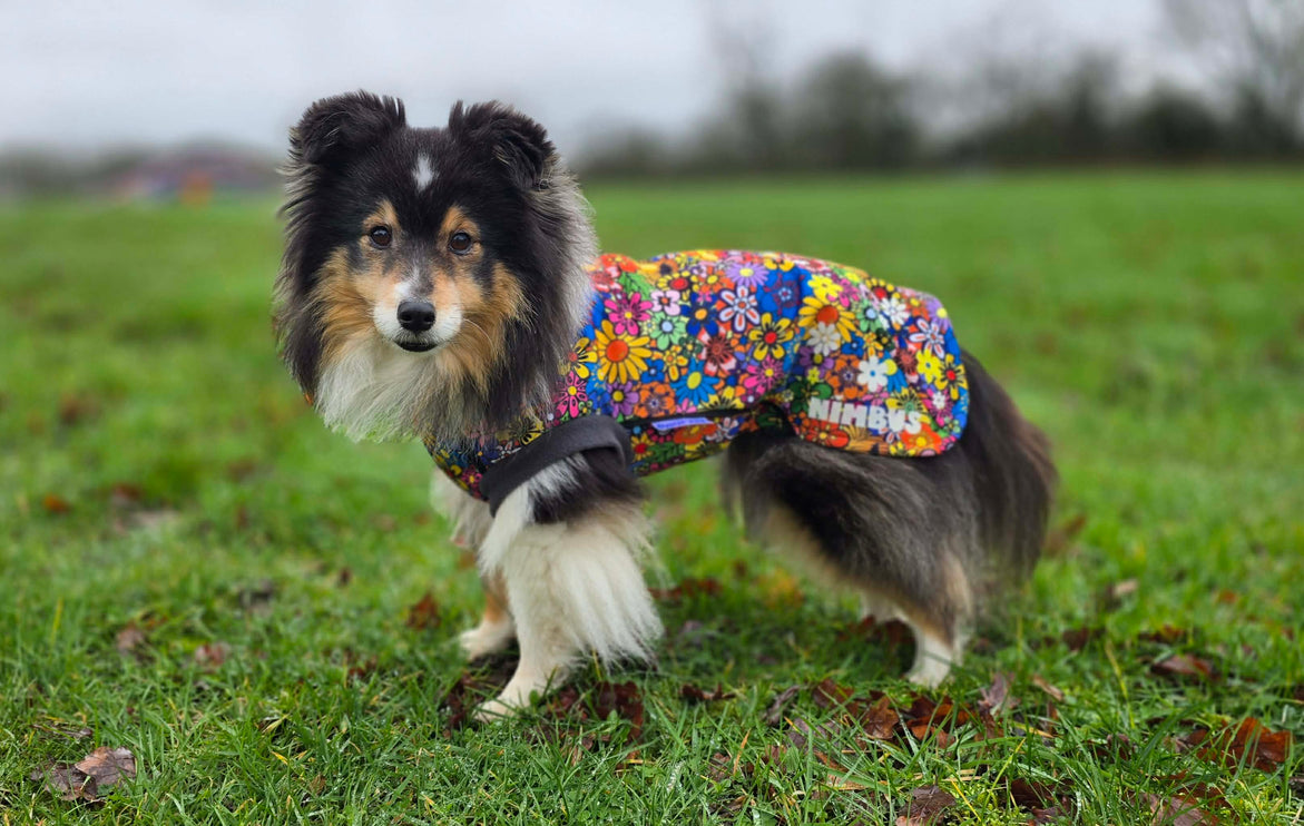 Flower Power McTog - Microfleece Waterproof Dog Jumper - Step In Poppers