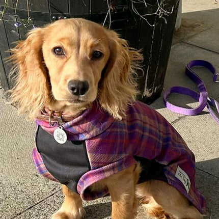 Nevis Polar Fleece - Waterproof Panel McTog Dog Jumper