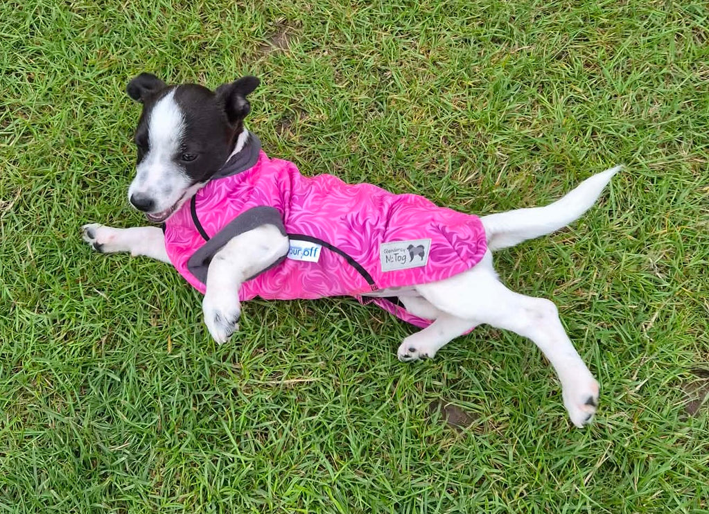 Flamingo Twist McTog - Microfleece Waterproof Dog Jacket - Step In Poppers