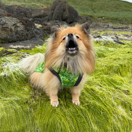 Star Lime McTog - Microfleece Waterproof Dog Coat - Back Poppers