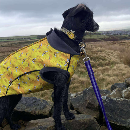 The Bee's Knees McTog - Microfleece Waterproof Dog Jacket - Step In Poppers