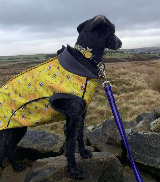 The Bee's Knees McTog - Microfleece Waterproof Dog Jacket - Step In Poppers