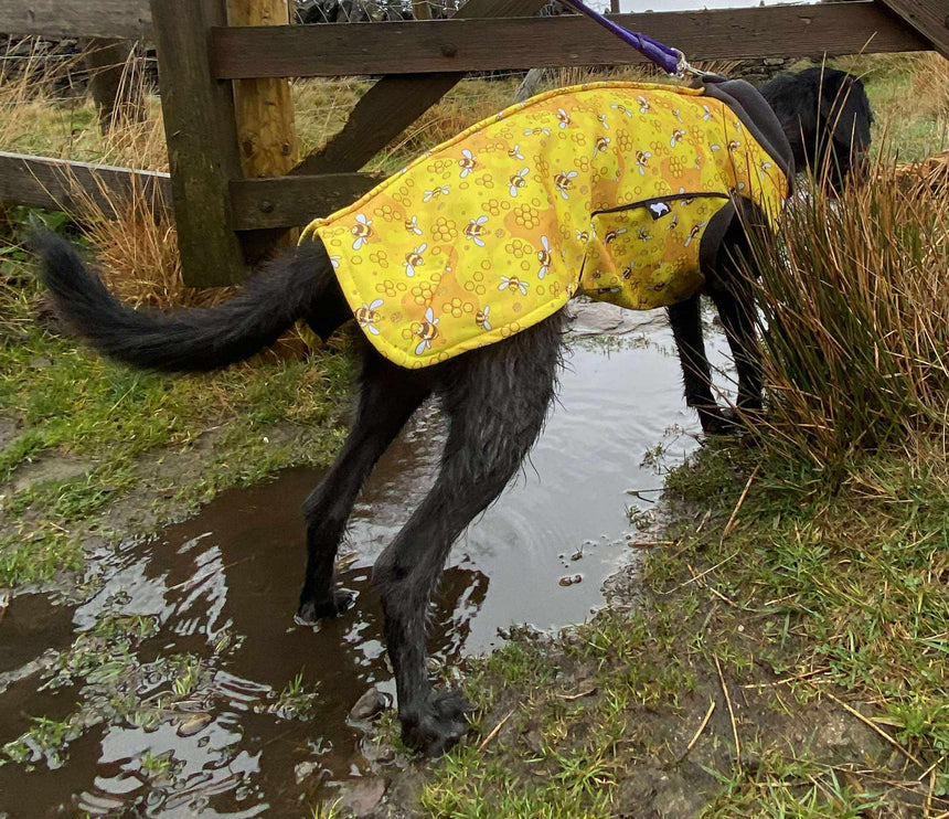 The Bee's Knees McTog - Microfleece Waterproof Dog Jacket - Step In Poppers