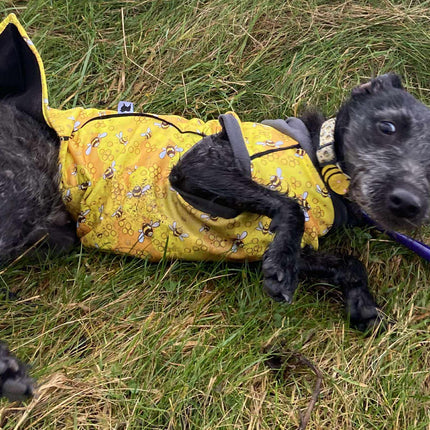 The Bee's Knees McTog - Microfleece Waterproof Dog Jacket - Step In Poppers