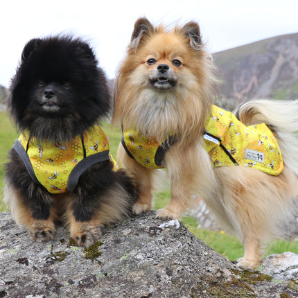 The Bee's Knees McTog - Microfleece Waterproof Dog Jacket - Step In Poppers