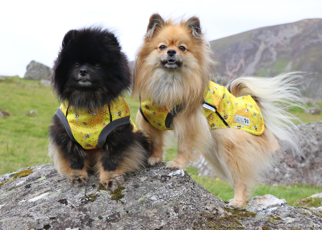 The Bee's Knees McTog - Microfleece Waterproof Dog Jacket - Step In Poppers