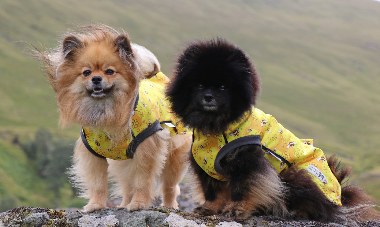 The Bee's Knees McTog - Microfleece Waterproof Dog Jacket - Step In Poppers