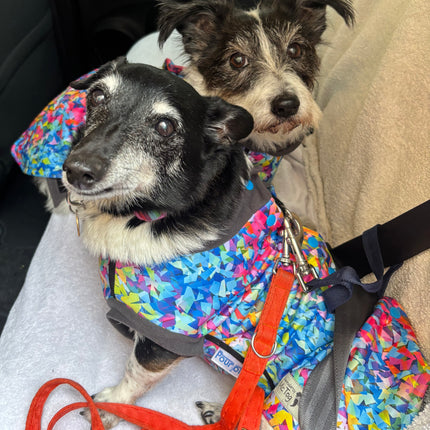 Razzle Dazzle McTog - Microfleece Waterproof Dog Sweater - Step In Poppers