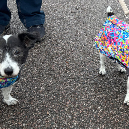 Razzle Dazzle McTog - Microfleece Waterproof Dog Sweater - Step In Poppers