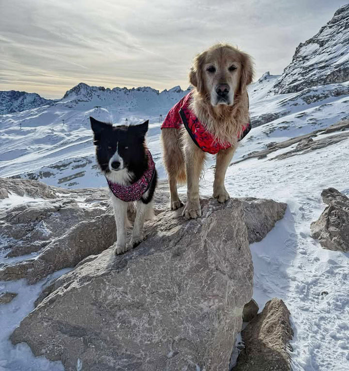 Planet Pink McTog - Microfleece Waterproof Dog Coat - Step In Poppers