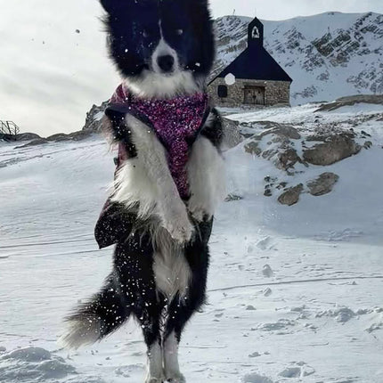 Planet Pink McTog - Microfleece Waterproof Dog Coat - Step In Poppers