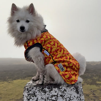Trailblazer McTog - Waterproof Microfleece Dog Jumper - Step In Poppers