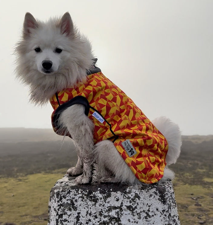 Trailblazer McTog - Microfleece Waterproof Dog Jumper - Step In Poppers