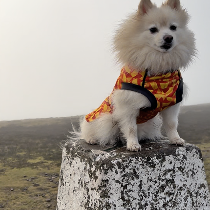 Trailblazer McTog - Waterproof Microfleece Dog Jumper - Step In Poppers