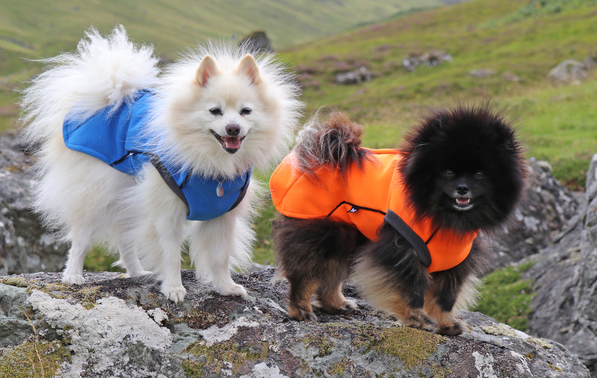 Cobalt Blue McTog - Double Layer Microfleece Waterproof Dog Coat - Step In Poppers