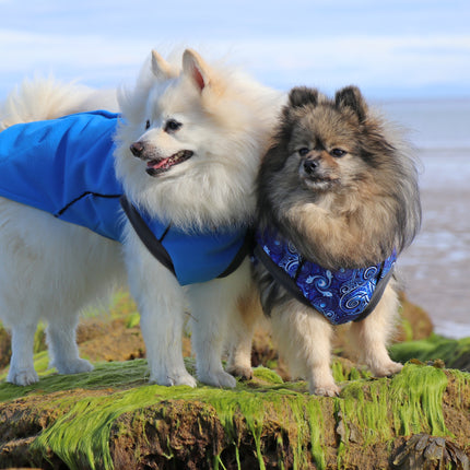 Cobalt Blue Double Layer waterproof microfleece McTog -  Back Poppers