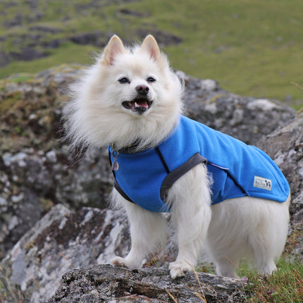 Cobalt Blue McTog - Double Layer Microfleece Waterproof Dog Coat - Step In Poppers