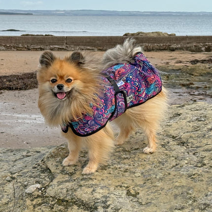 Bohemian RainHug waterproof dog coat for rainy walks wet grass and muddy weather