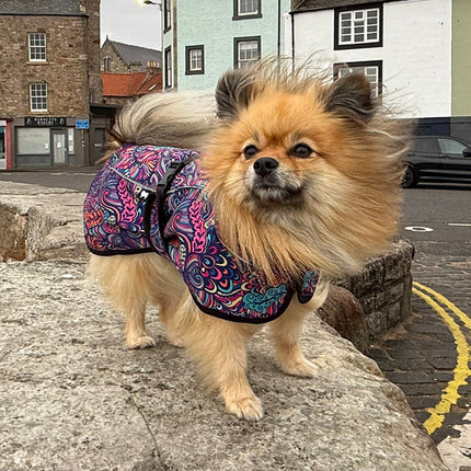 Bohemian RainHug waterproof dog jacket with extended neck and rear coverage