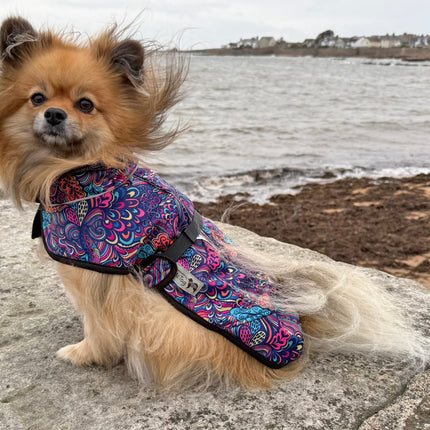 Glenndarcy RainHug waterproof microfleece dog coat in Bohemian pattern