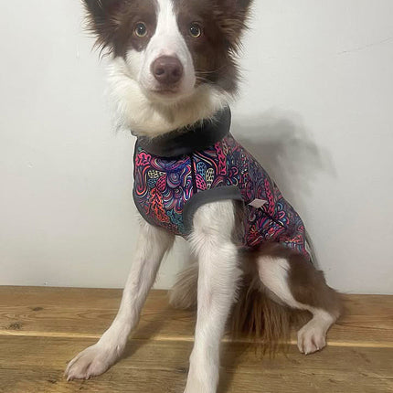 Bohemian Waterproof Microfleece McTog Dog Jumper