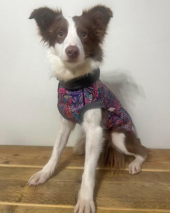 Bohemian McTog - Microfleece Waterproof Dog Jumper