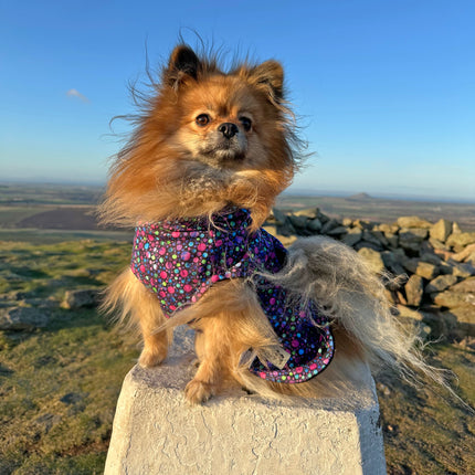 Bubblicious McTog Drying Coat