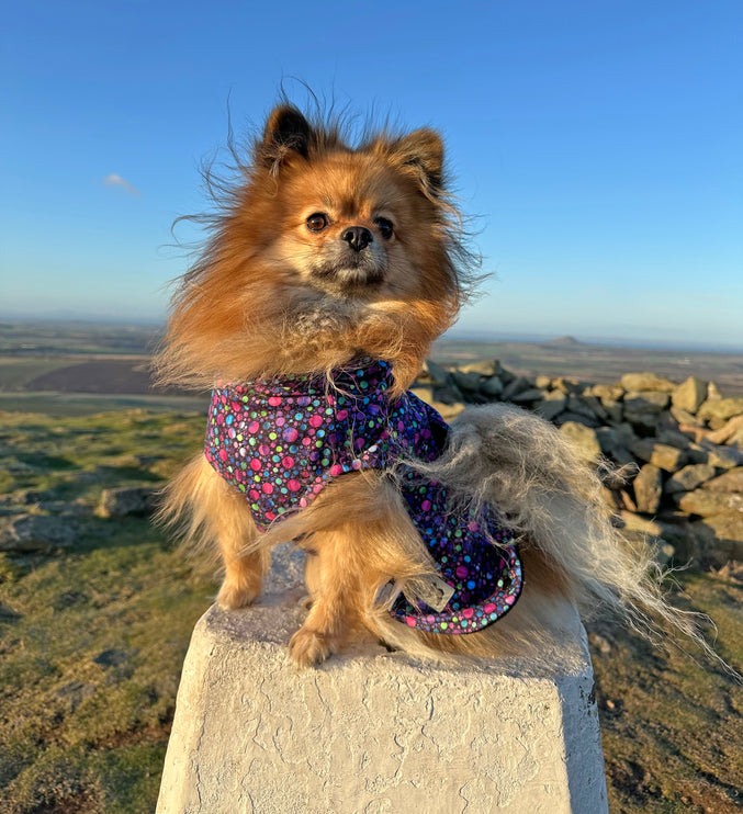 Bubblicious McTog Drying Coat