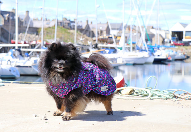 Bubbalicious McTog Drying Coat