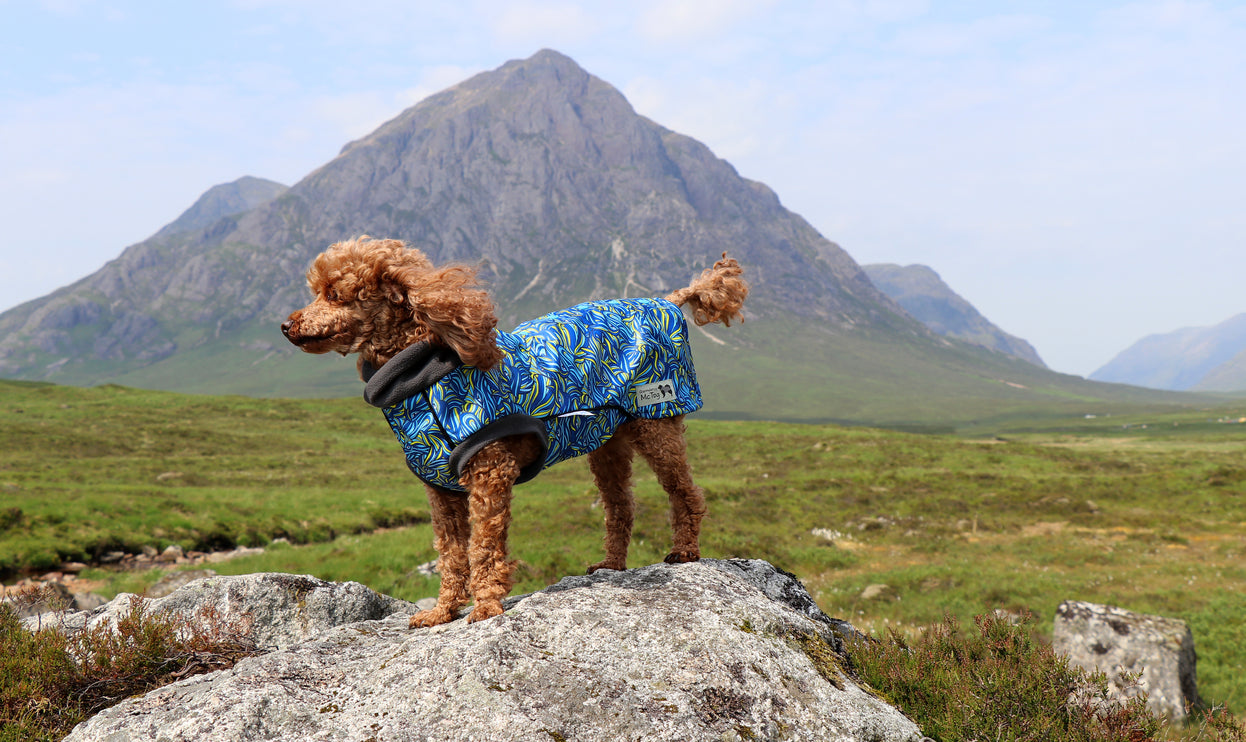 Call of the Wild McTog - Microfleece Waterproof Dog Jumper - Back Poppers