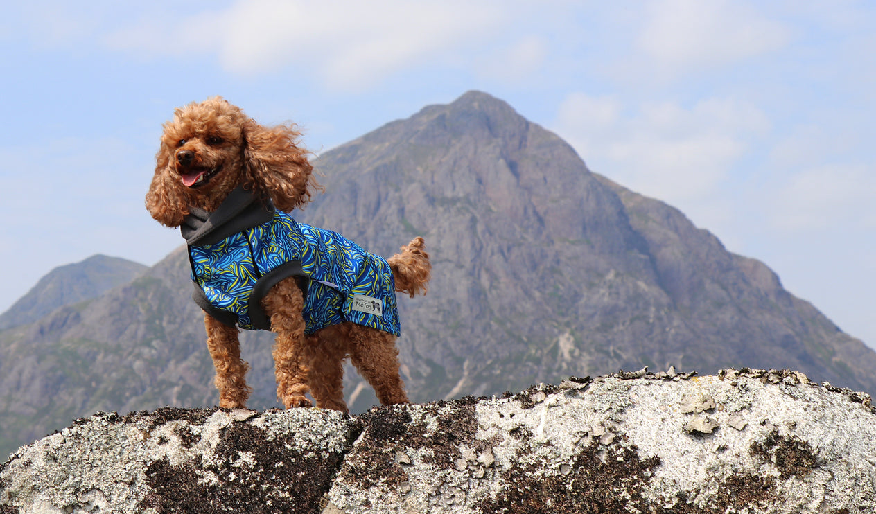 Call of the Wild McTog - Microfleece Waterproof Dog Jumper - Back Poppers