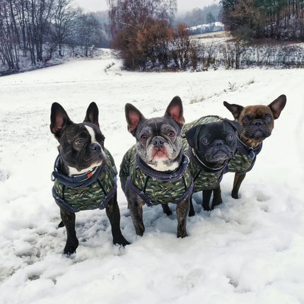 Earth Echo McTog - Microfleece Waterproof Dog Jumper - Size 2 to 3 Slim