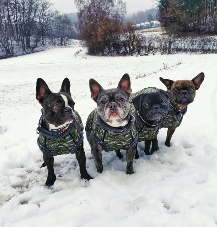 Earth Echo McTog - Microfleece Waterproof Dog Jumper - Step In Poppers