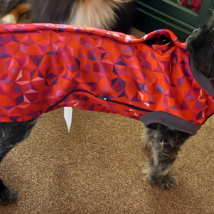 Cherry Fusion McTog - Microfleece Waterproof Dog Coat - Step In Poppers