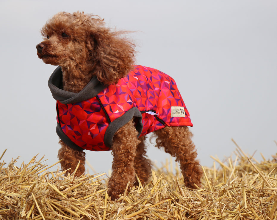 Cherry Fusion McTog - Microfleece Waterproof Dog Coat - Step In Poppers