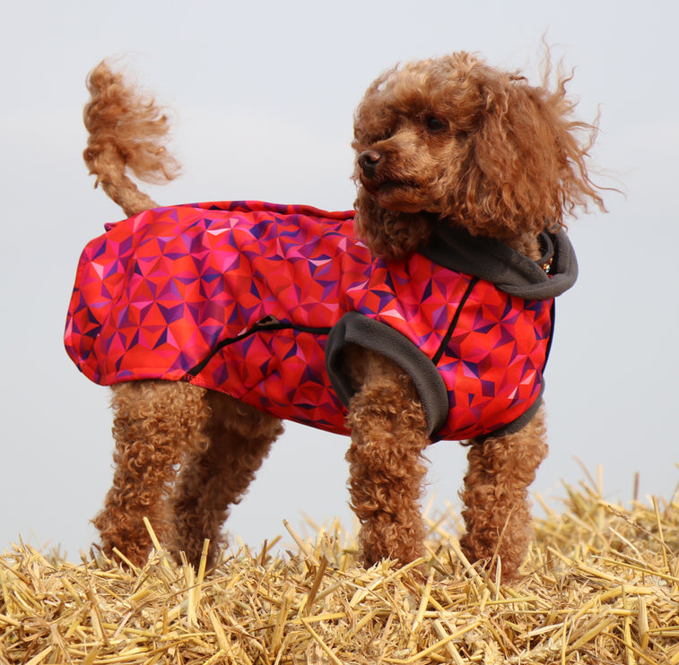 Cherry Fusion McTog - Microfleece Waterproof Dog Coat - Step In Poppers