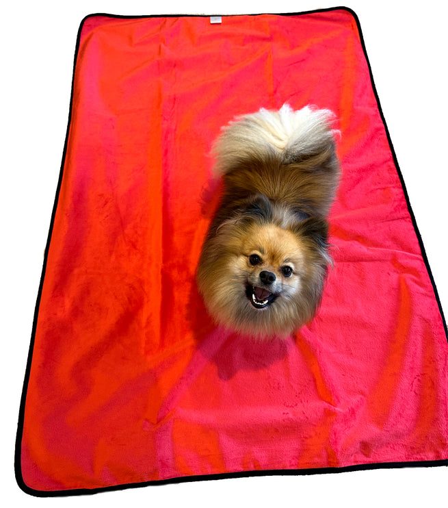 Glenndarcy Waterproof Blanket