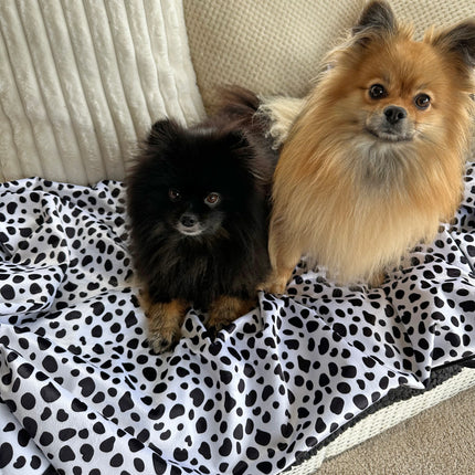 Glenndarcy Waterproof Blanket