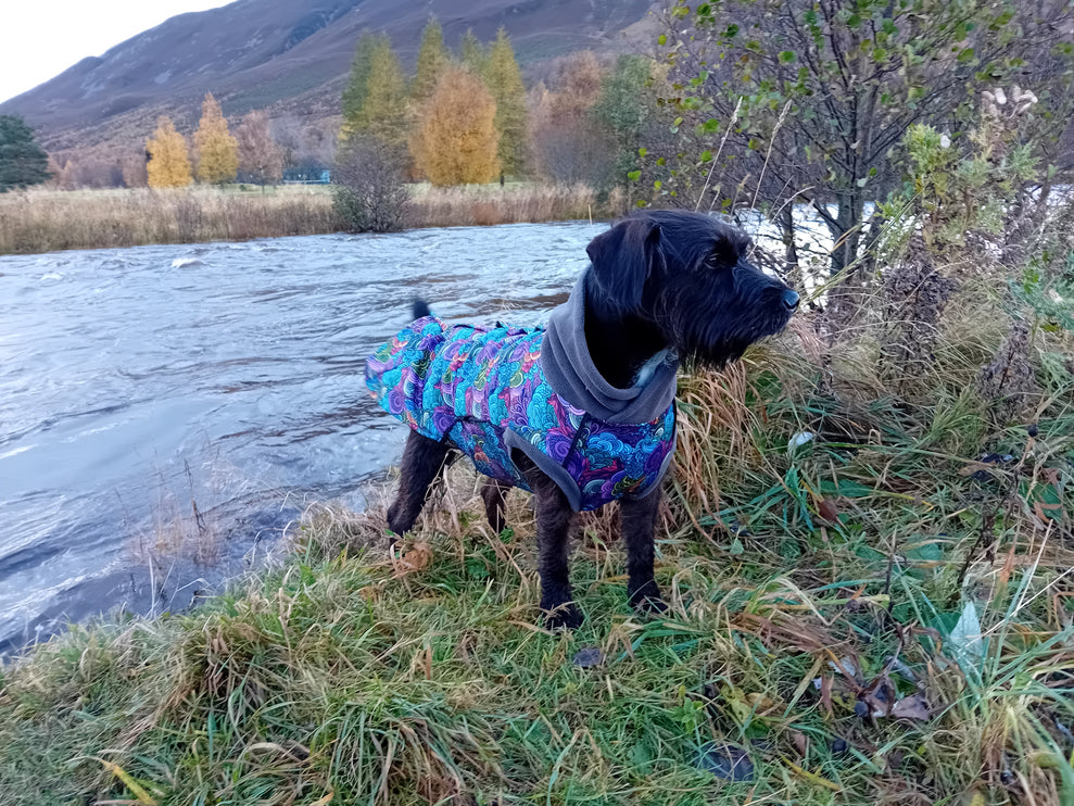 Dreamer McTog - Microfleece Waterproof Dog Coat - Back Poppers