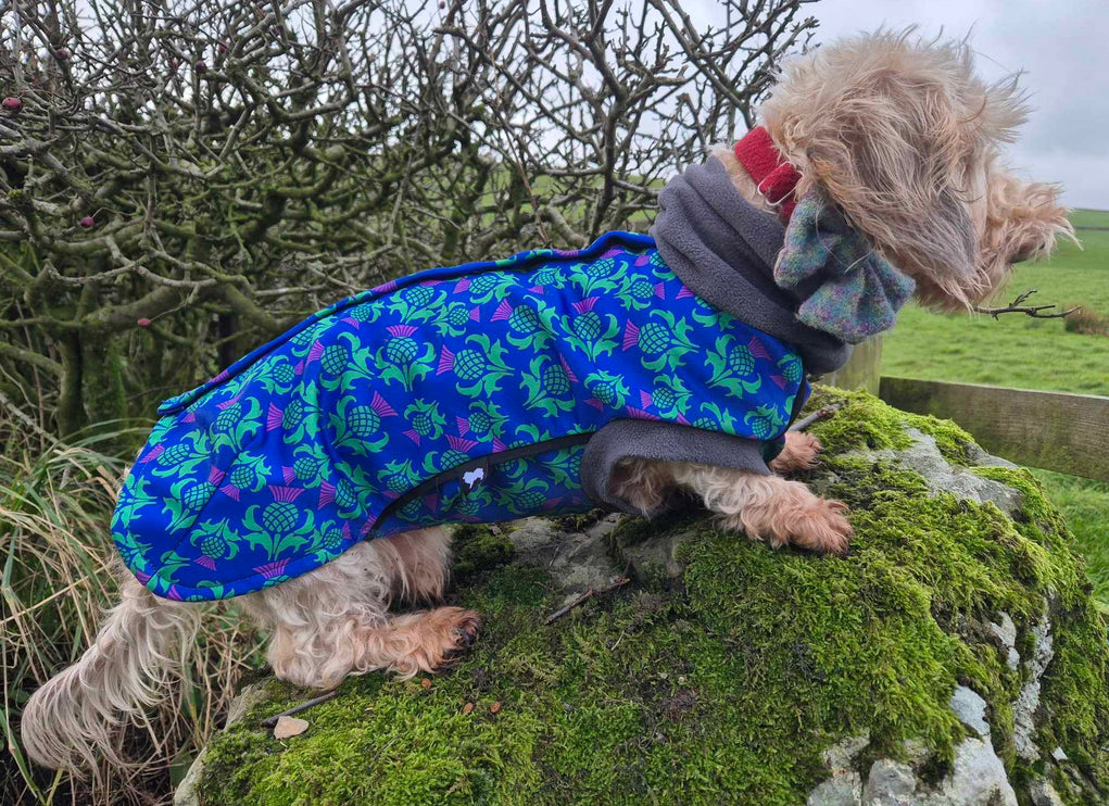 Thistle McTog - Microfleece Waterproof Dog Coat - Back Poppers
