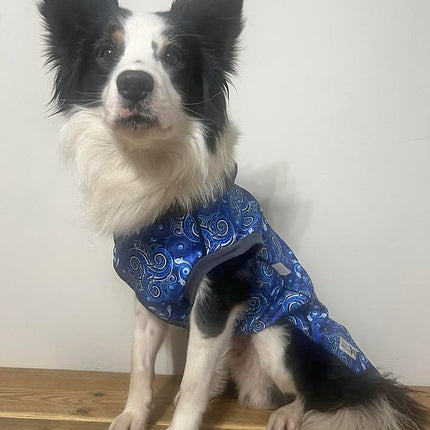 Destiny McTog - Waterproof Microfleece Dog Jacket