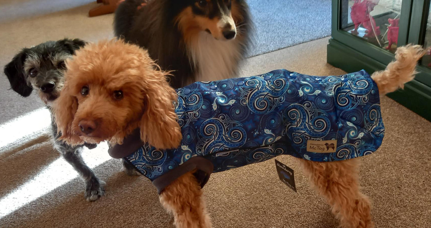 Destiny McTog - Microfleece Waterproof Dog Jumper - Step In Poppers